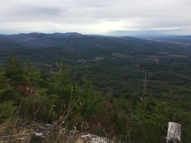 Abernathy lookout site