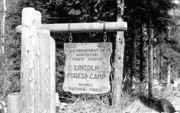 Lincoln forest camp