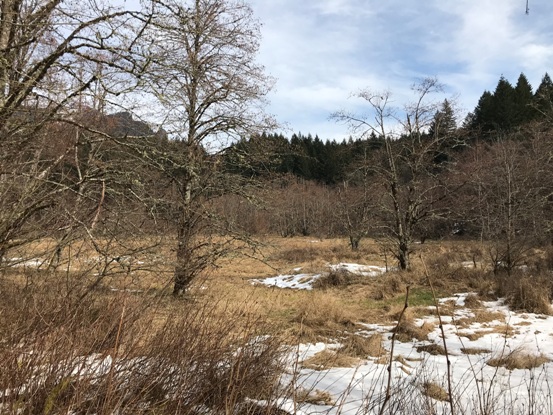 Carpenters Lake