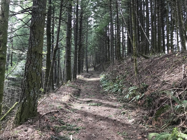 aldrich butte road