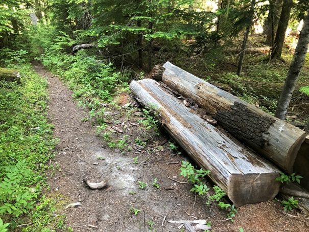 trail bench