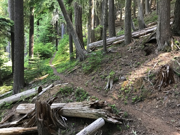 angry mountain trail