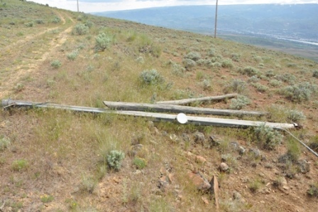 Telephone poles