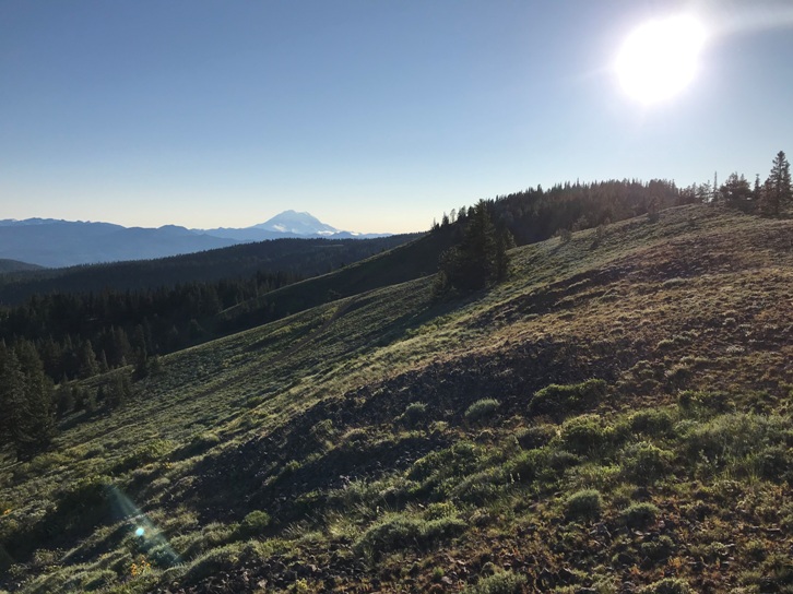 bald mountain wa