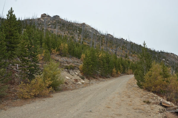 Baldy Mountain 