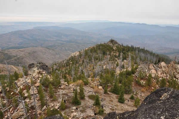 Baldy Mountain 