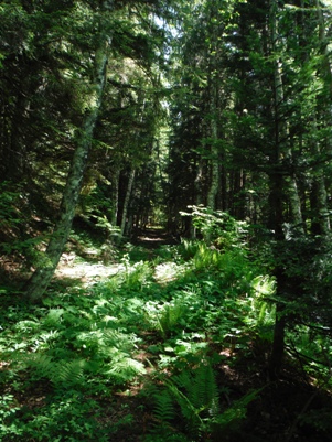 beckler peak trail