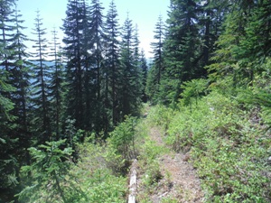beckler peak trail