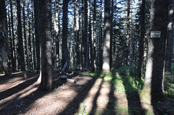 Cold Springs Camp