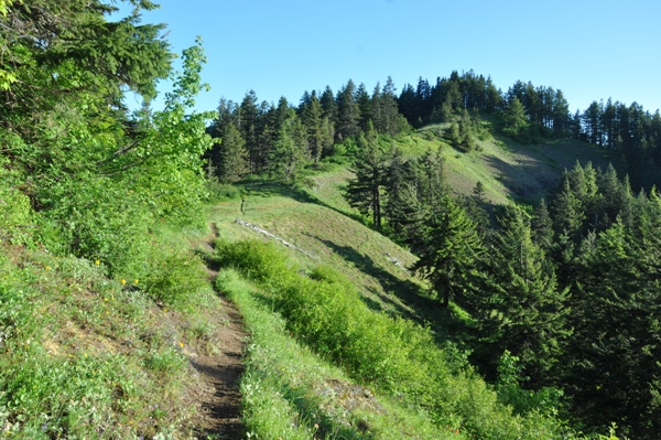 Huckleberry Trail