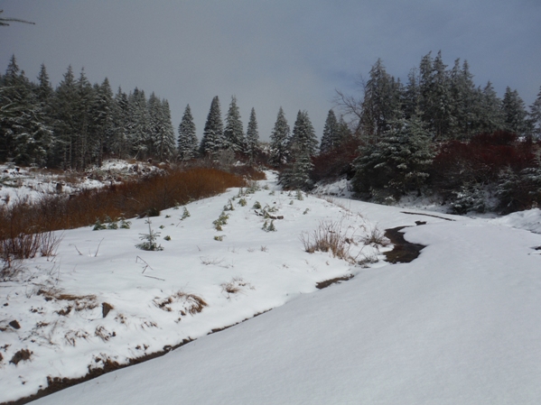 blaney mountain road