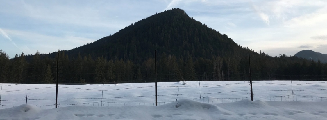 Bunker Hill Lookout in Skamania County