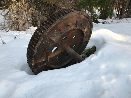 Railroad logging 