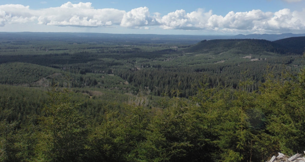 olympic-mountains