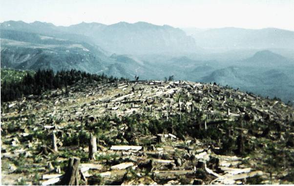 Cascade Lookout 