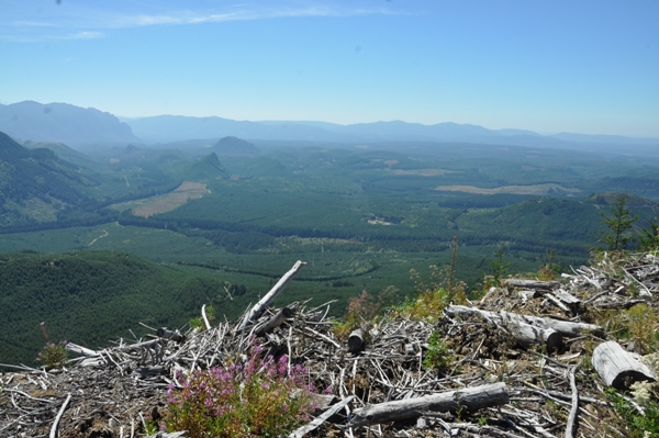 Snoqualmie Valley 