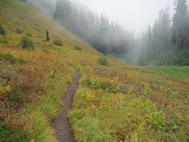 hiking