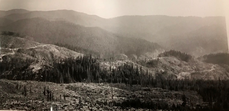 clam mountain view