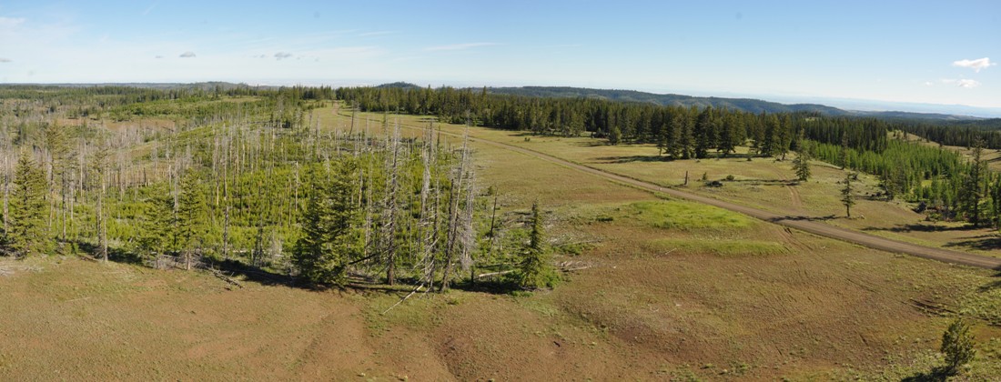 clearwater lookout