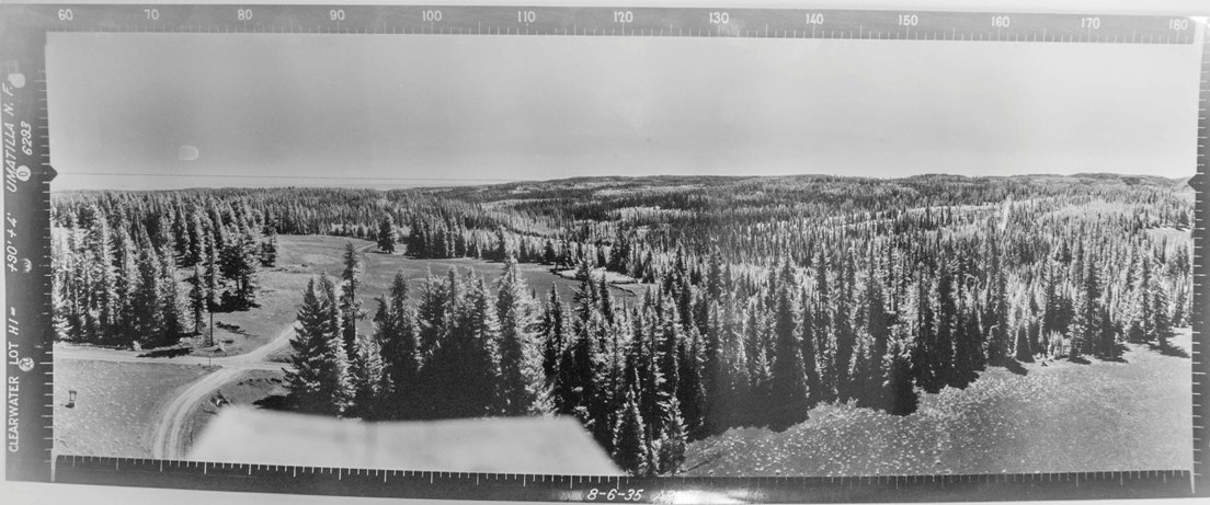 clearwater lookout