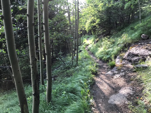 Columbia Mountain Trail
