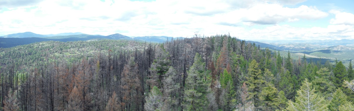 cornell butte view