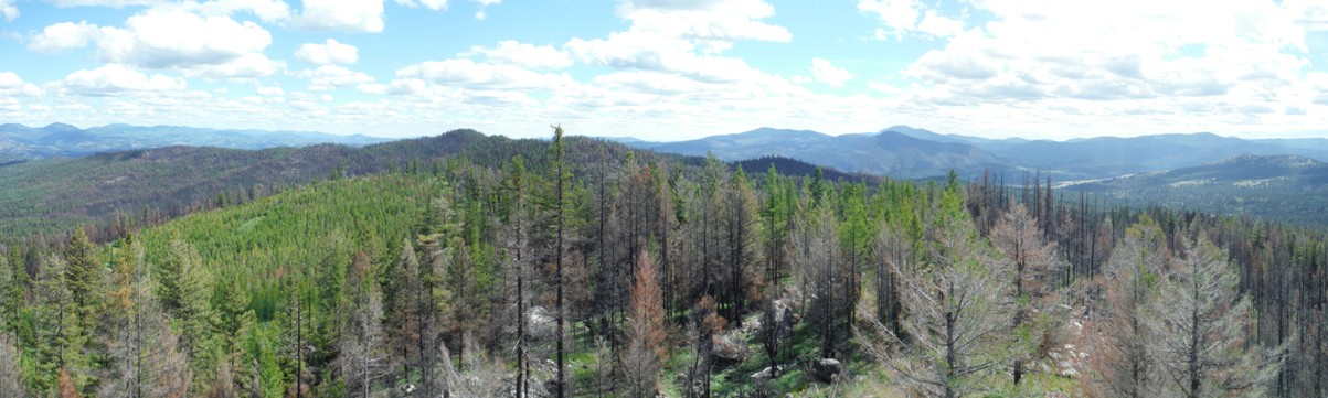 cornell butte view