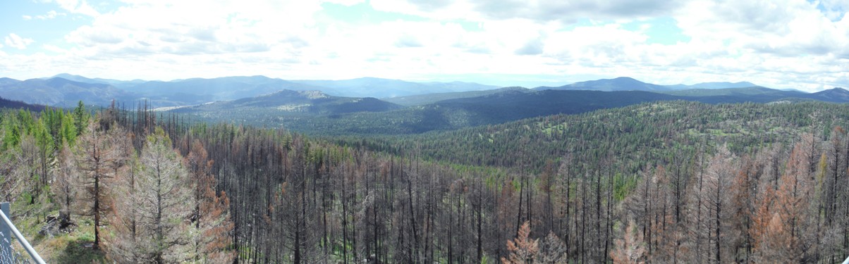 cornell butte view