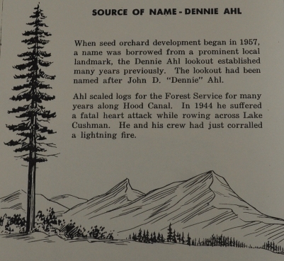 dennie ahl