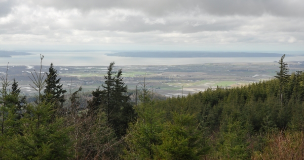 Skagit Bay