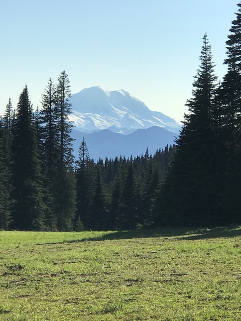 Mt. Rainier 