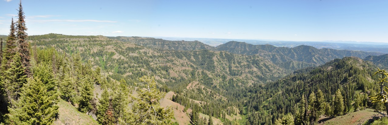 diamond peak view