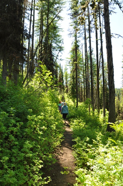 Mt. Misery Trail