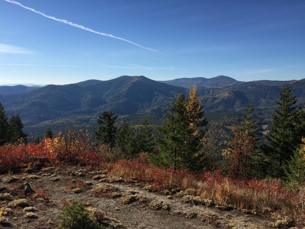 diamond peak view