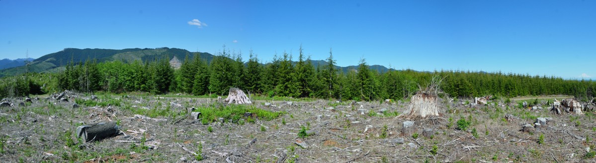 drake lookout