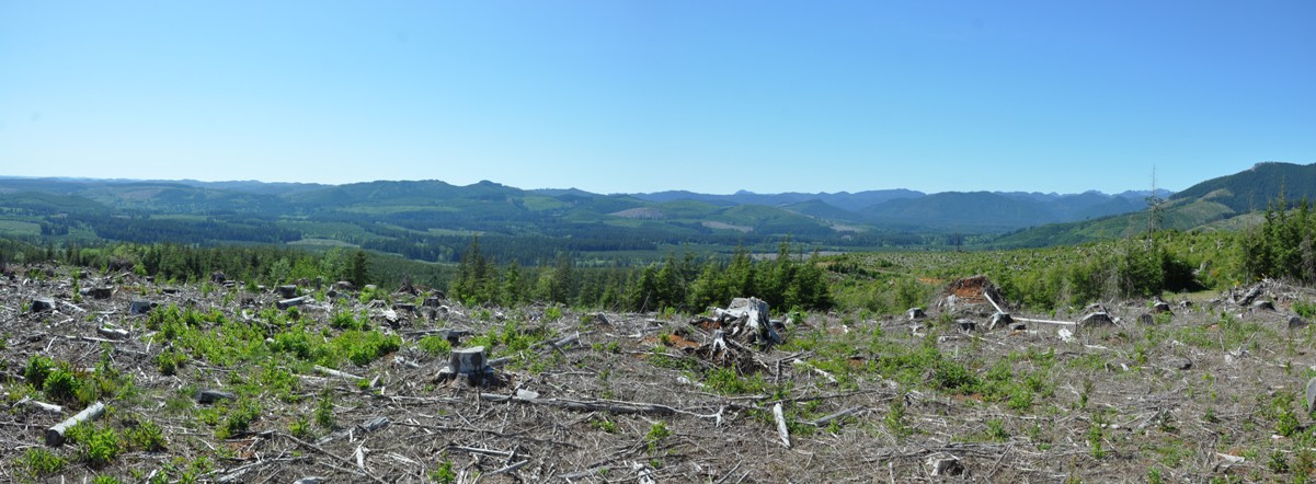 drake lookout