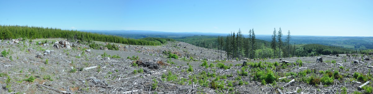 drake lookout