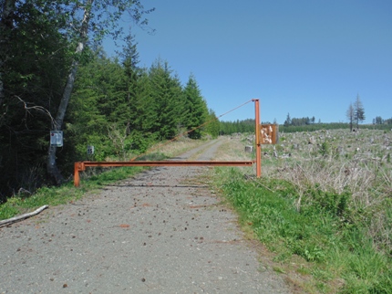 logging road