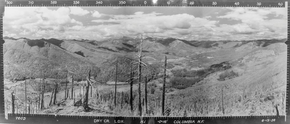 dry creek lookout