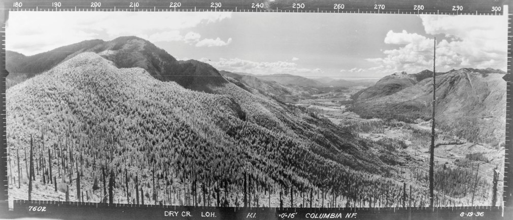 dry creek lookout