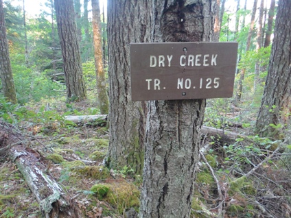 dry creek