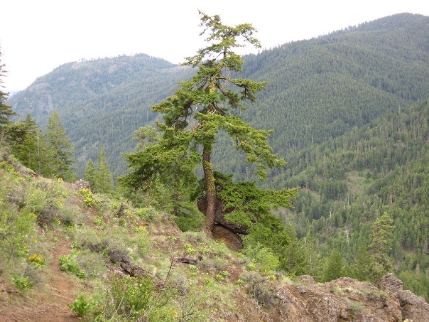 Edgar Rock trail