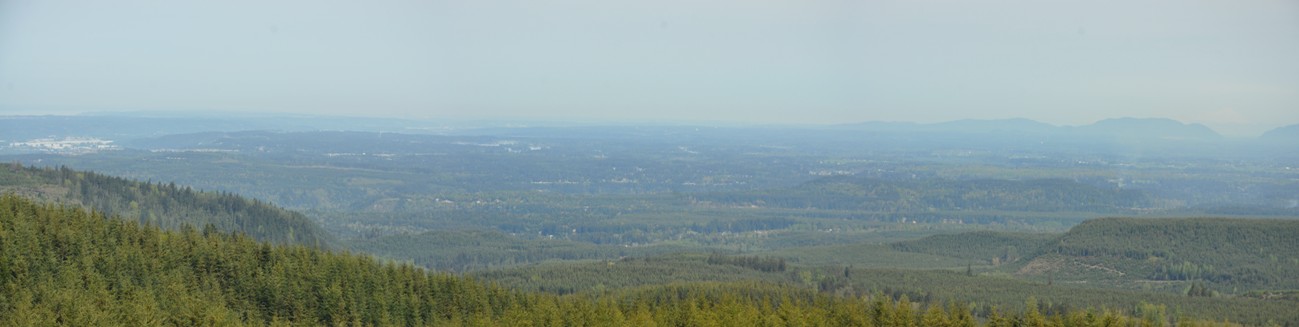 electron lookout view