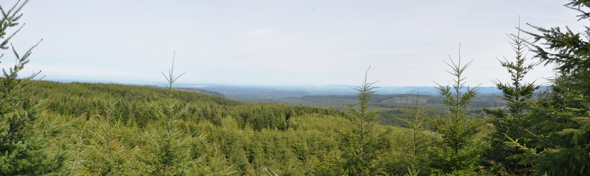 electron lookout view