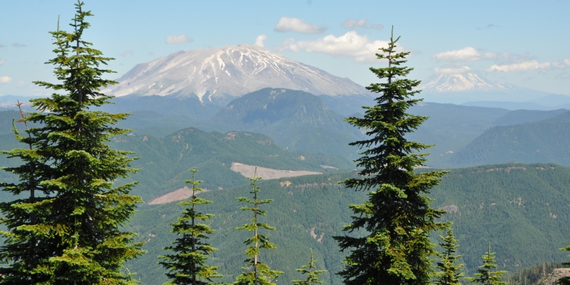 mt st helens