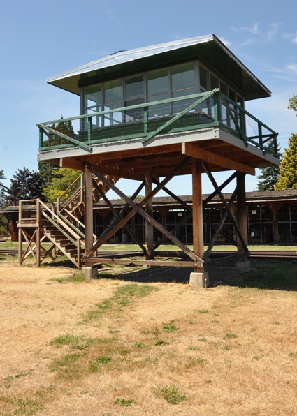 salmon river lookout