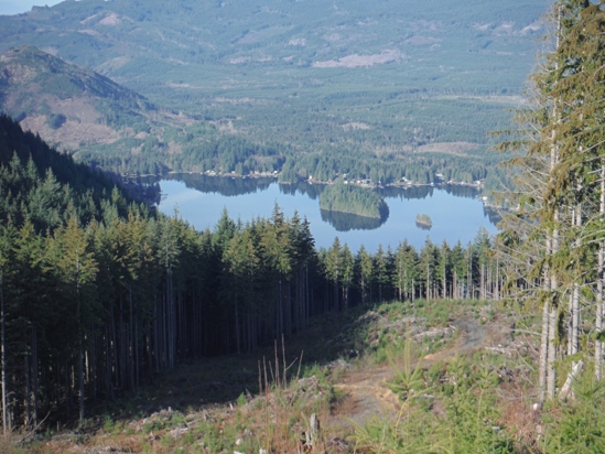 lake cavanaugh