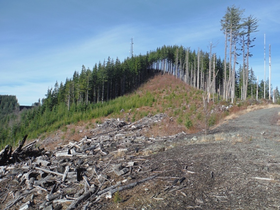 ATV trail 