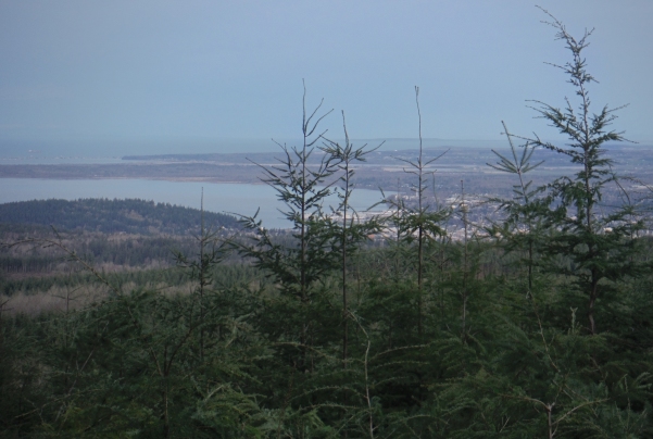 bellingham