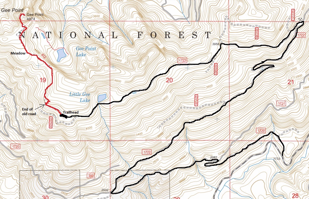 gee point map